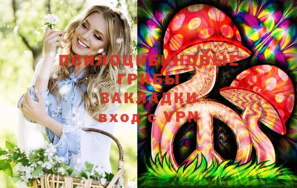 jwh Новозыбков