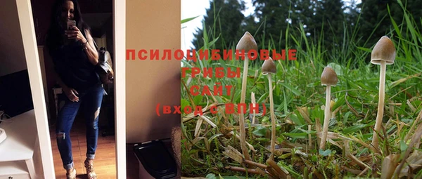 mdpv Новодвинск