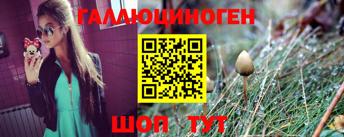 Псилоцибиновые грибы GOLDEN TEACHER  Прохладный 