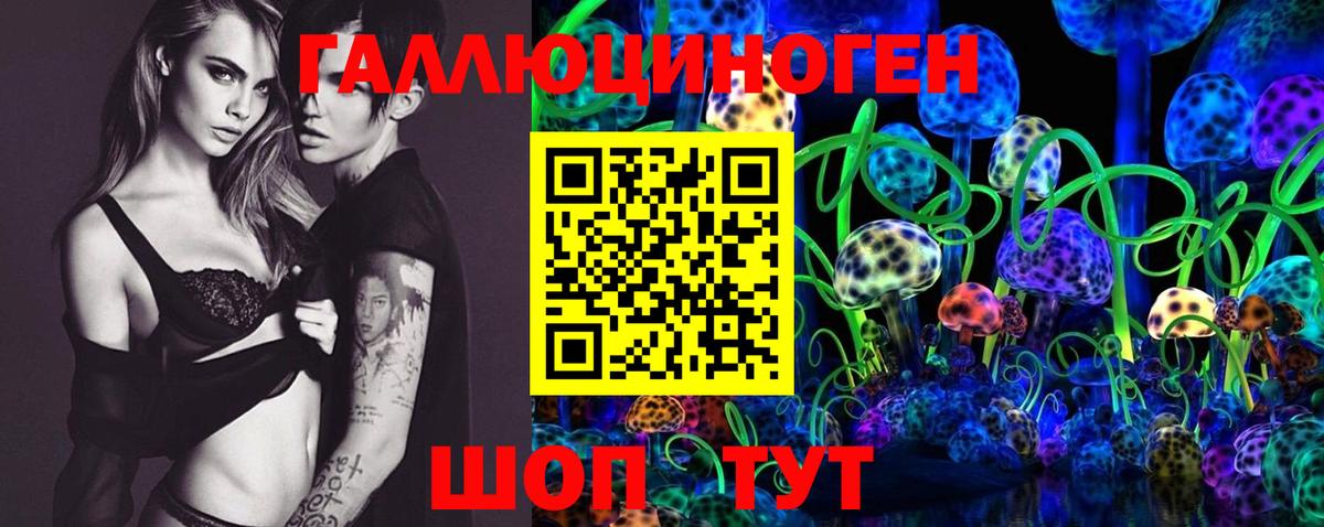 Псилоцибиновые грибы Cubensis Прохладный